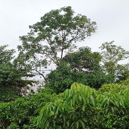 نينه بينه Green Space Homestay المظهر الخارجي الصورة