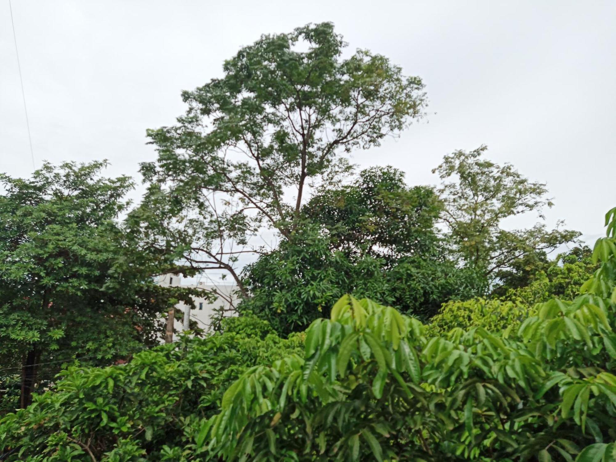 نينه بينه Green Space Homestay المظهر الخارجي الصورة