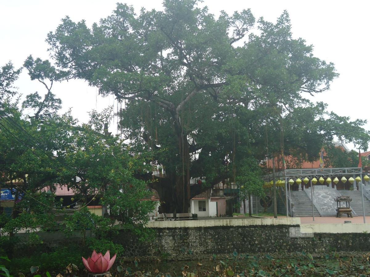 نينه بينه Green Space Homestay المظهر الخارجي الصورة