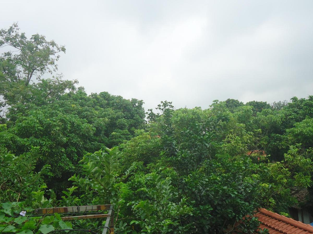 نينه بينه Green Space Homestay المظهر الخارجي الصورة