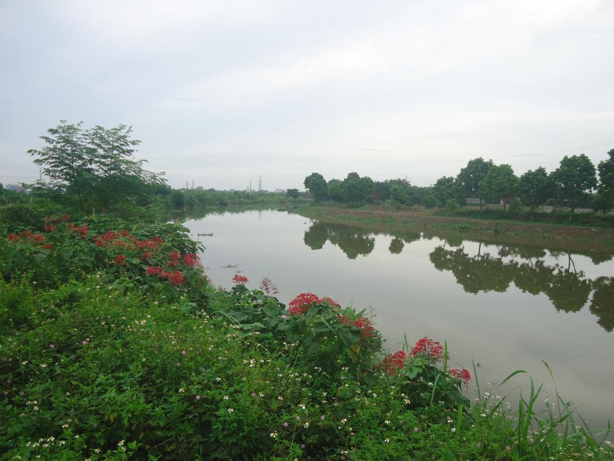 نينه بينه Green Space Homestay المظهر الخارجي الصورة