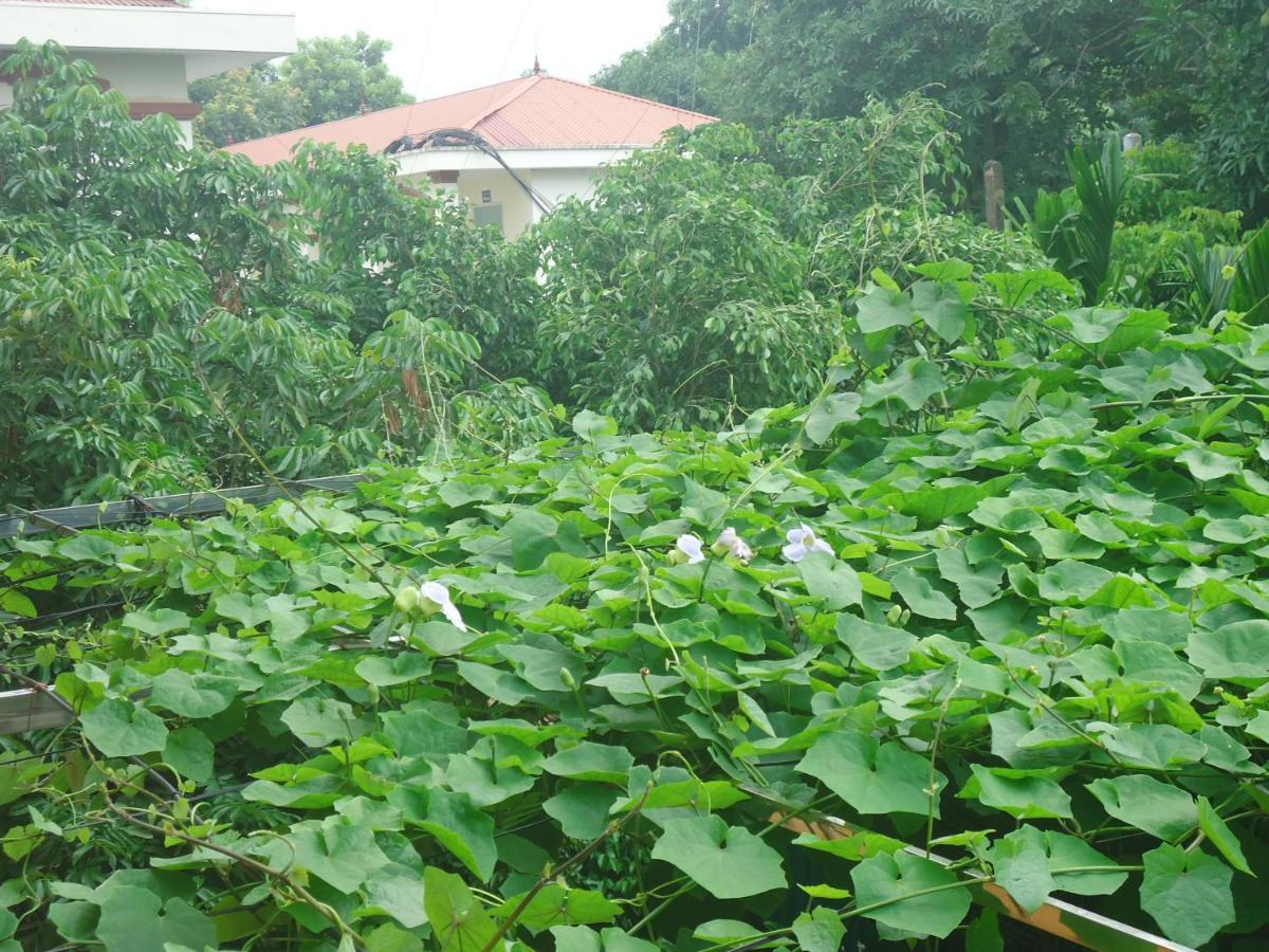نينه بينه Green Space Homestay المظهر الخارجي الصورة