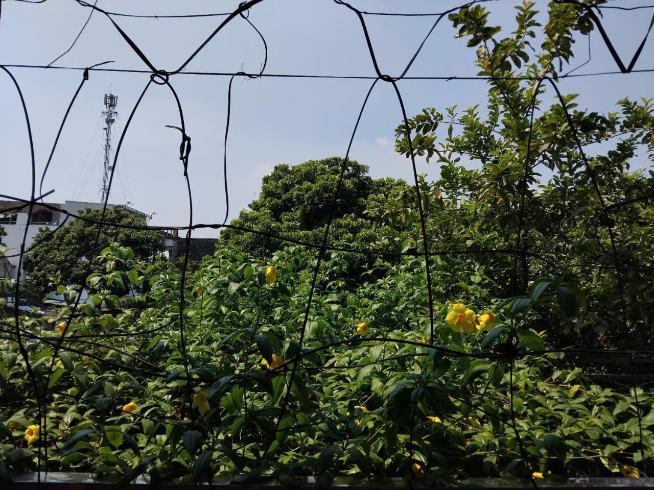 نينه بينه Green Space Homestay المظهر الخارجي الصورة